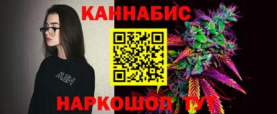 шишки Северобайкальск
