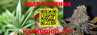шишки Северобайкальск