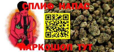 mdpv Севастополь