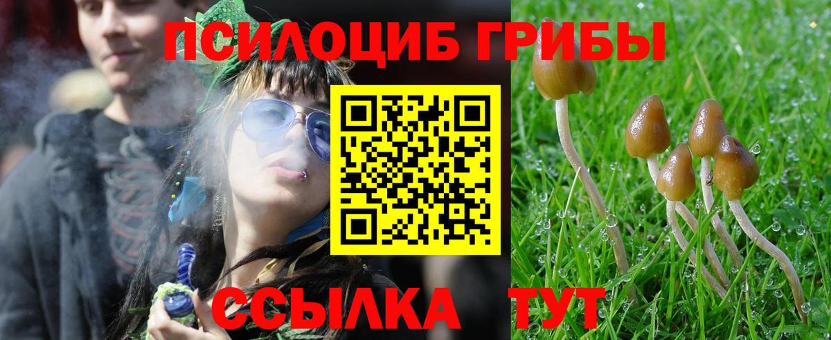 Псилоцибиновые грибы Cubensis  магазин    Октябрьский  Вход с VPN  Галлюциногенные грибы прущие грибы 