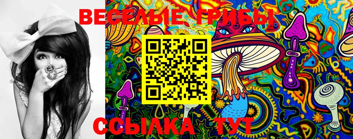 Галлюциногенные грибы ЛСД Октябрьский